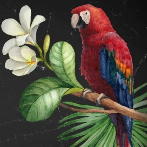 Mint by Michelle Decoupage Paper Parrot
