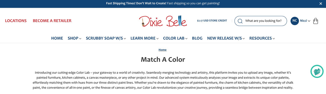 How to Use Dixie Belle’s ‘Match a Colour’ Tool for Your Perfect Custom Shade