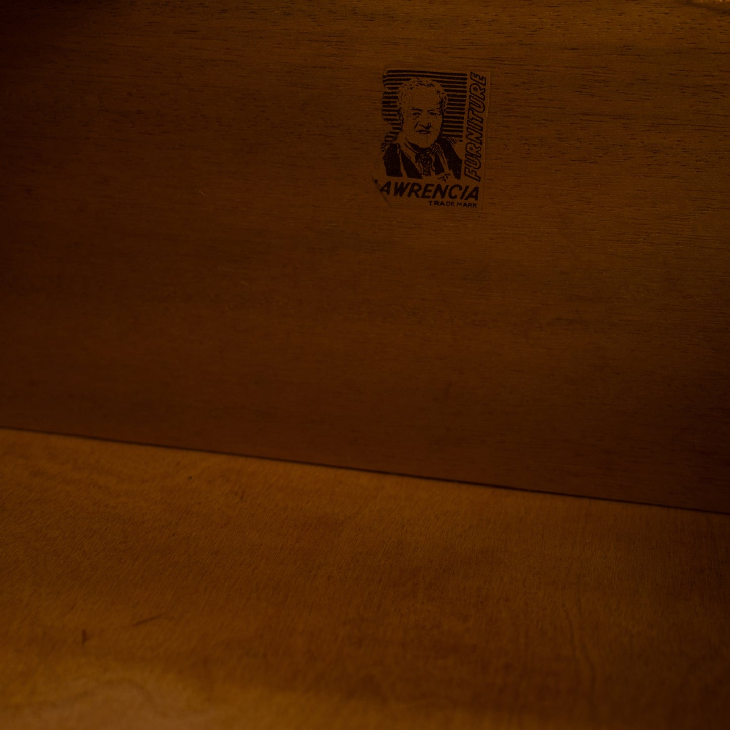 Vintage Chest of Drawers | Gold Leaf & Floral Design | One-of-a-Kind Statement Furniture