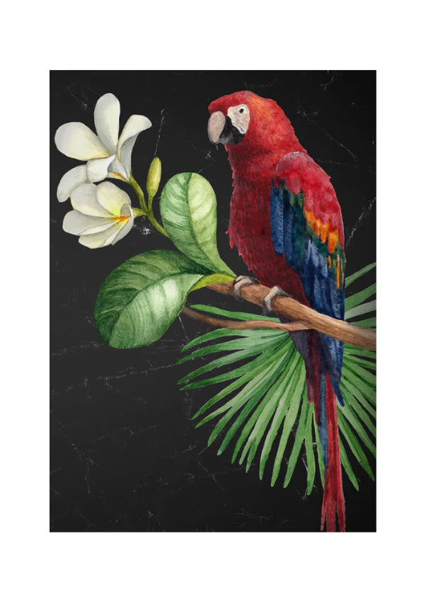 Mint by Michelle Decoupage Paper  Parrot