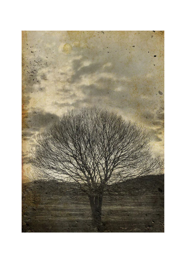Mint by Michelle Decoupage Paper Sepia Tree