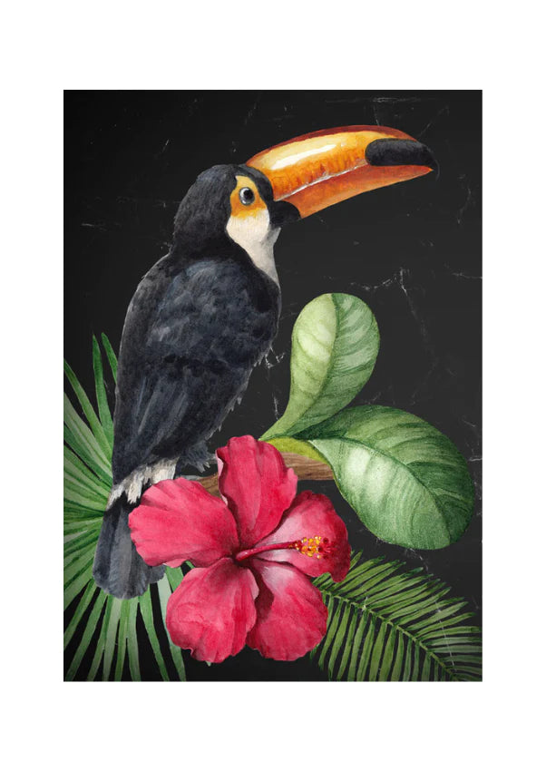 Toucan