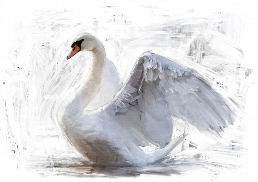 White Swan/Reverse White Swan