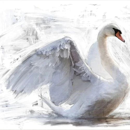 White Swan/Reverse White Swan